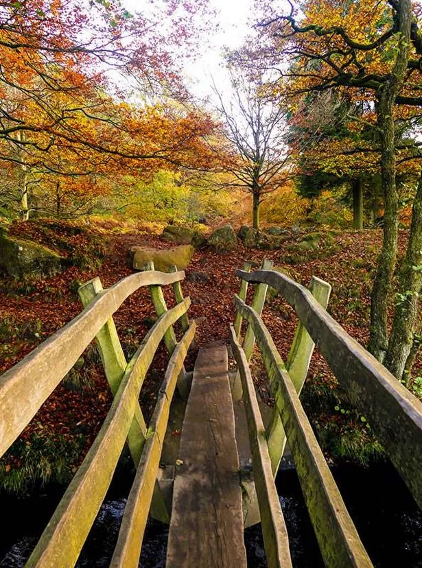 A birdge over Burbage Brook, Padley Gorge