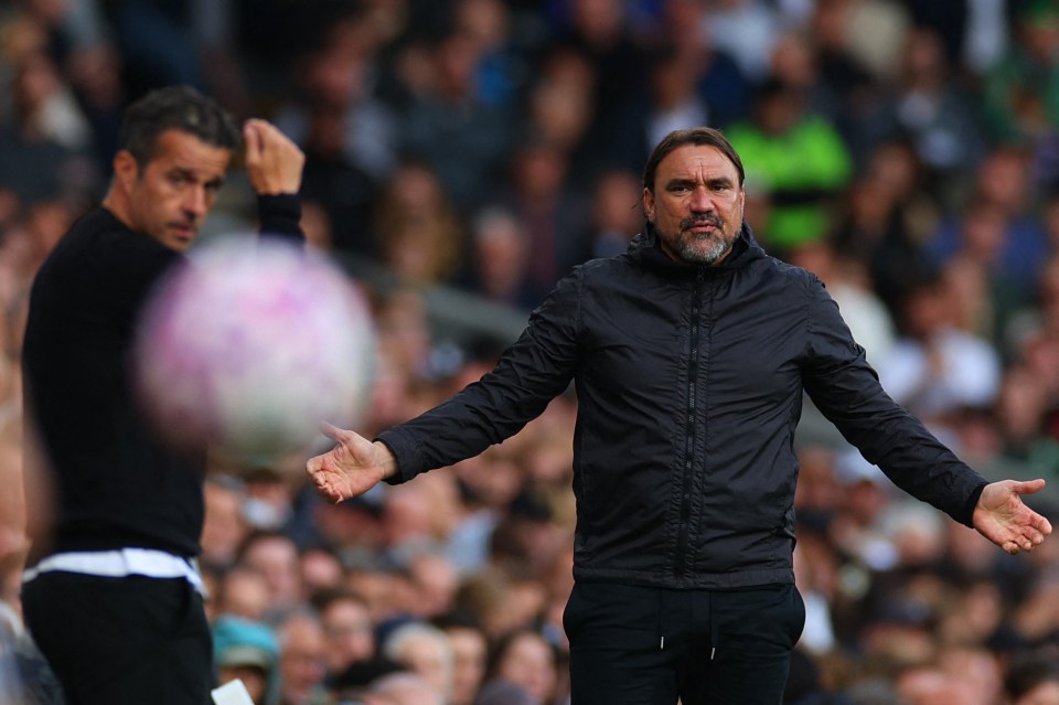Daniel Farke and Marco Silva reacting during a soccer match.