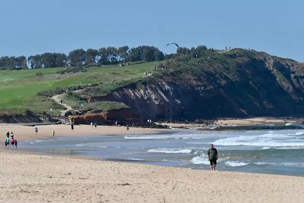 Image of beach in Sydney Australia