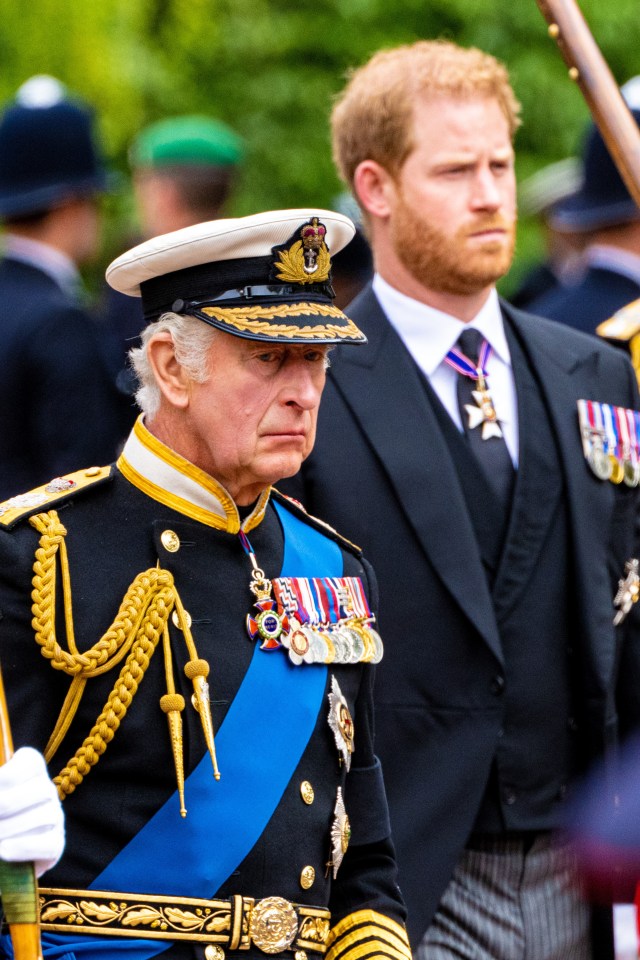King Charles III and Prince Harry walking together.