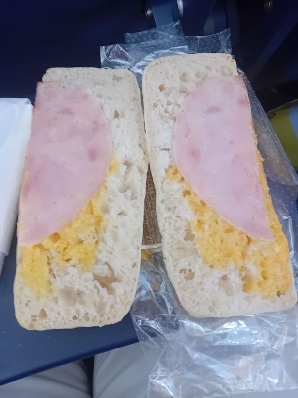 The sandwich