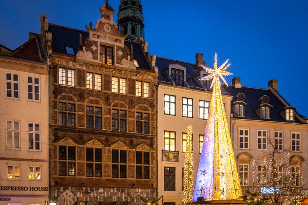 This is a photo of a Christmas tree and architecture in Copenhagen, Denmark