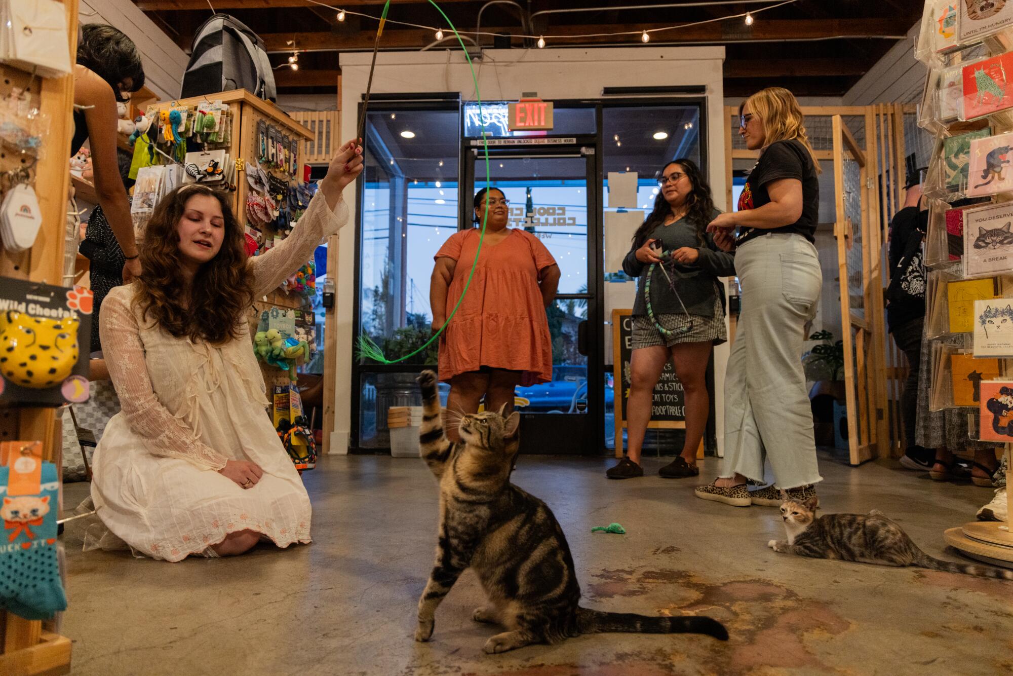 A person plays with foster cat Gumball after a silent reading night with other people standing in the background.