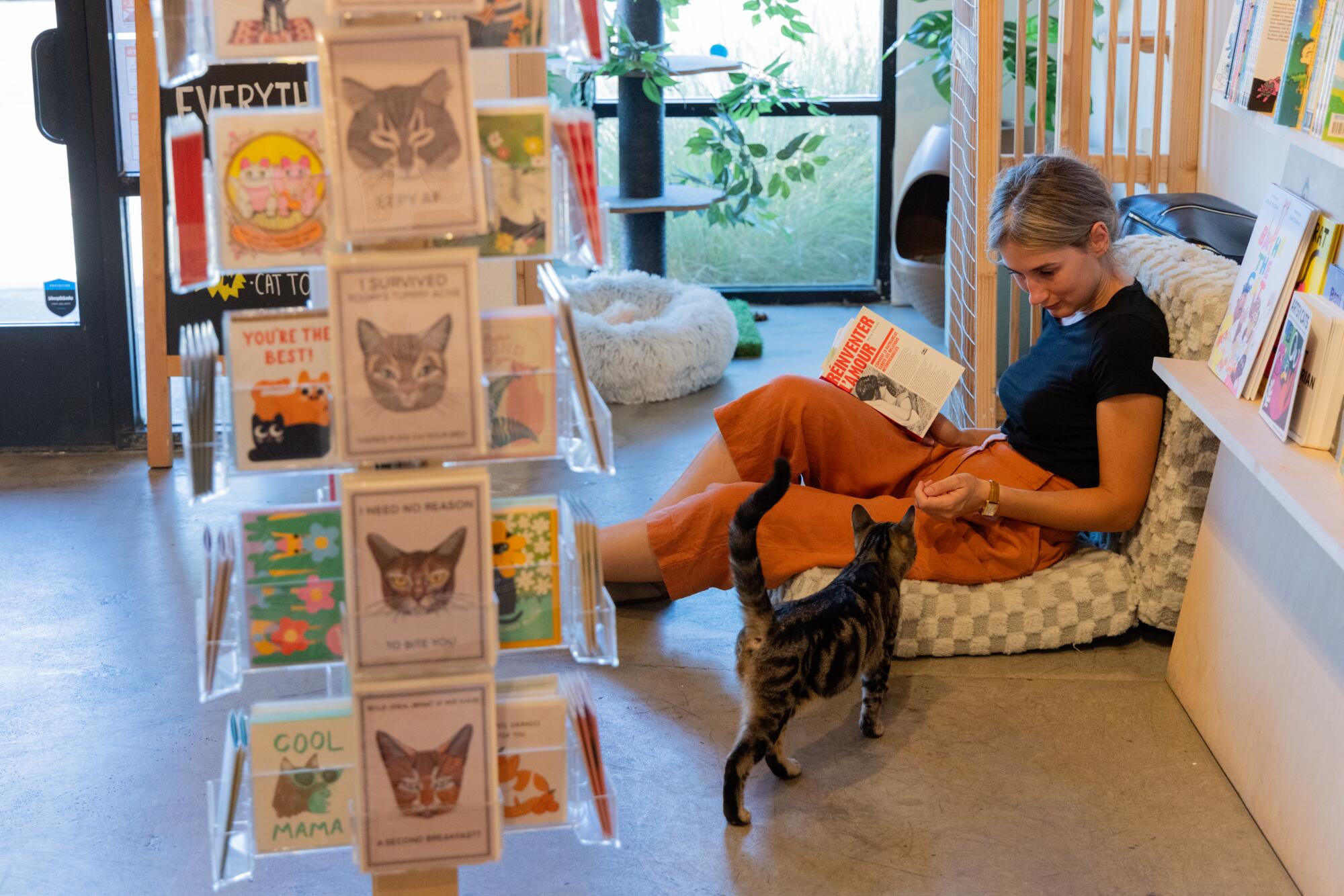Mathilde Hernandez pauses reading to pet foster cat Gumball.