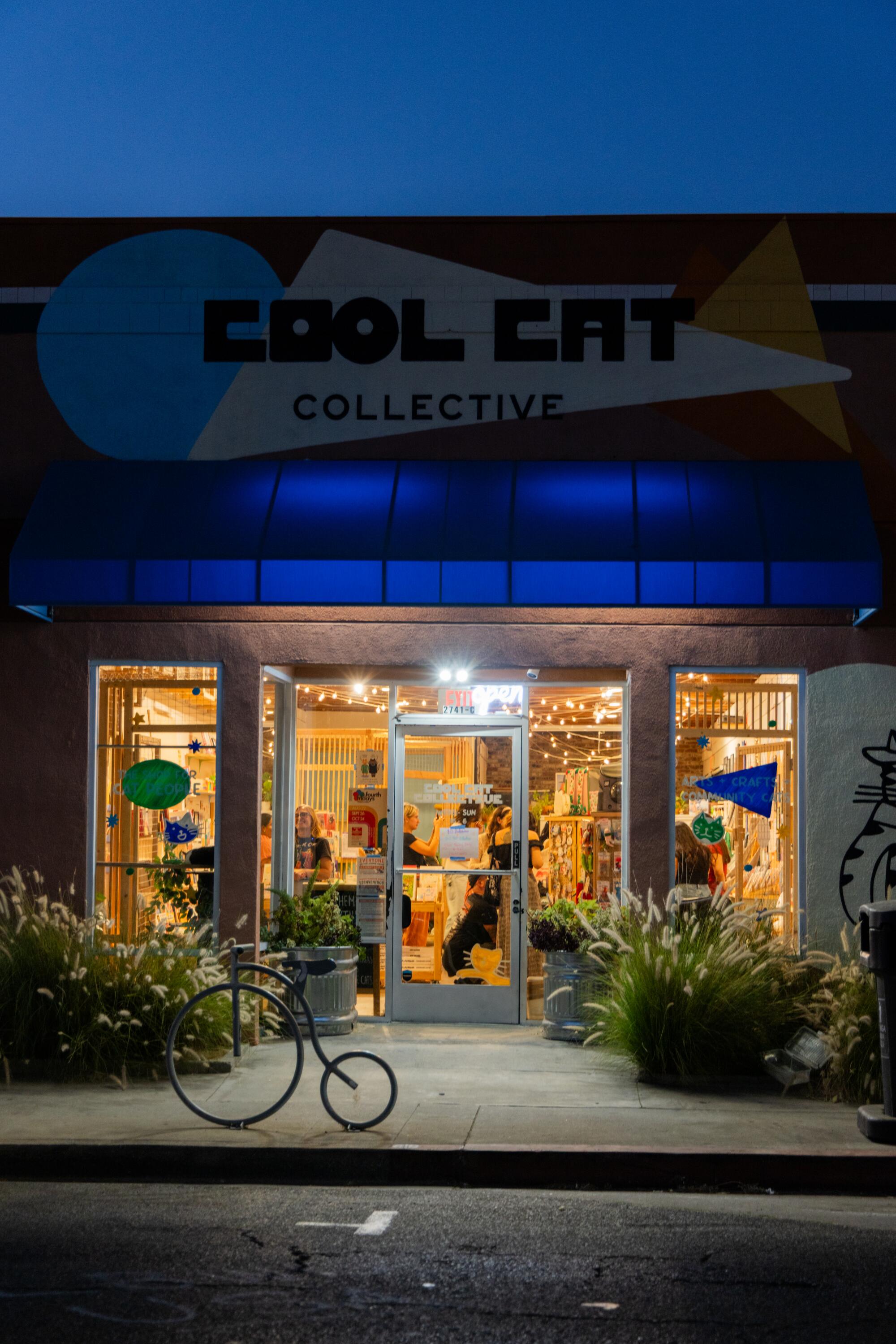 The Cool Cat Collective storefront after a silent reading night