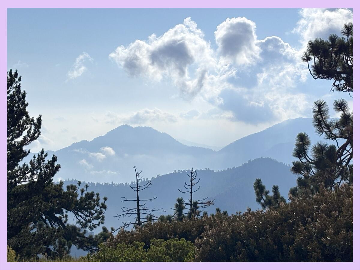 Layers of peaks visible from the Throop Peak summit.