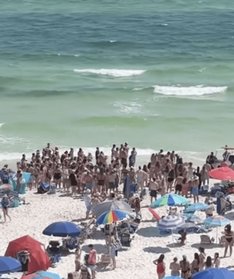 Large crowd of beachgoers gathered at the water's edge.