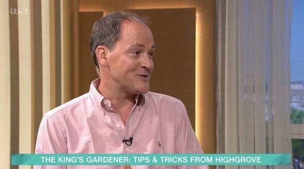 Jack Stooks on This Morning
