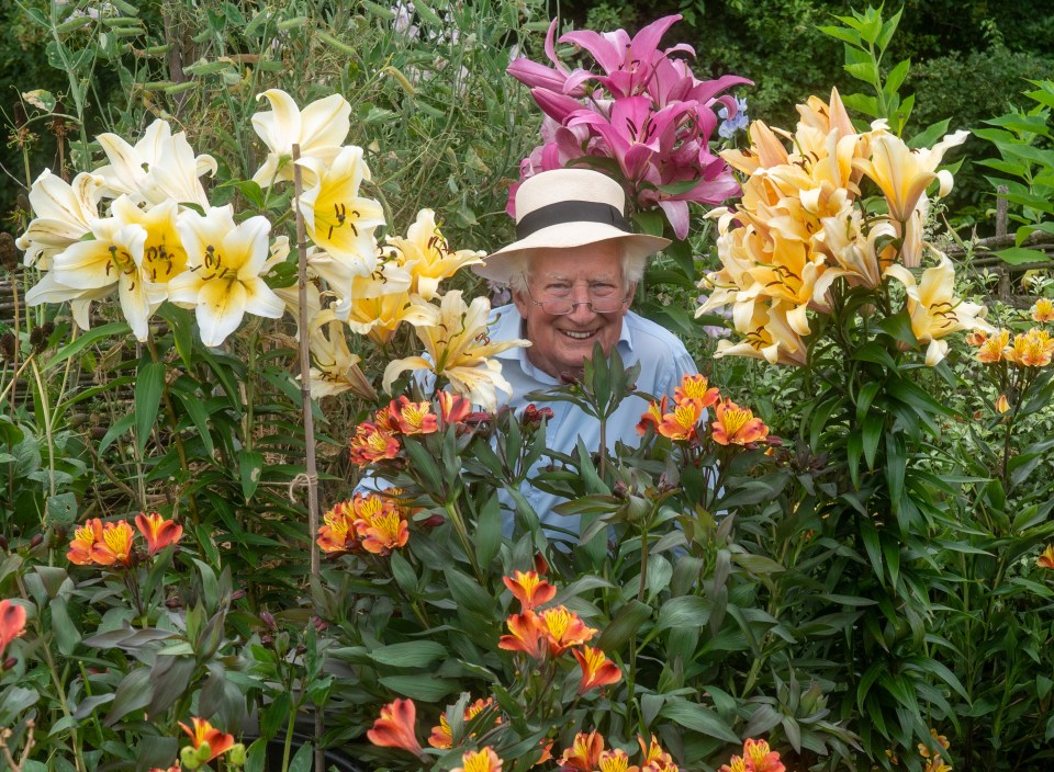 Sun gardening editor Peter Seabrook in a garden surrounded by lilies and Peruvian lilies.