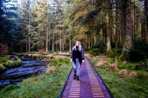 This is Hafren Forest