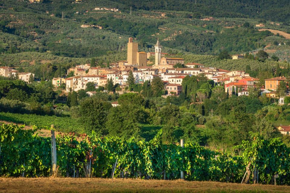 Vinci village and vineyards in Tuscany, Italy.