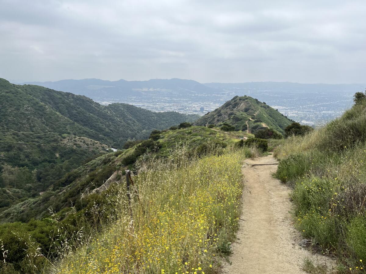 The Vital Link Trail starts in Burbank's Wildwood Canyon Park. It is one of the most challenging hikes in the L.A. area.