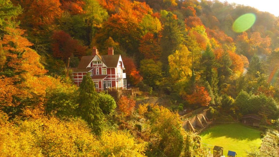 Otis' House from the series Sex Education, a red house nestled in autumn trees.