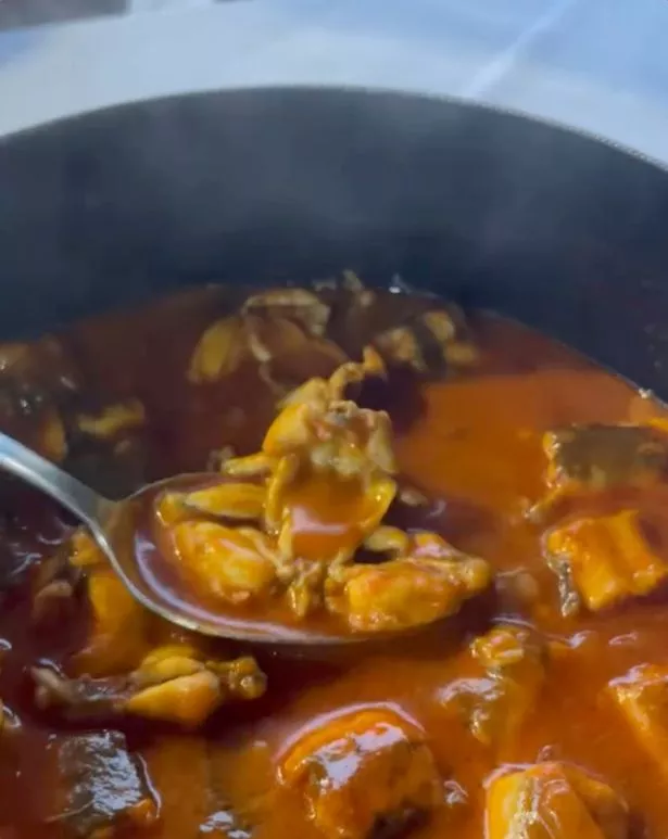 a frog stew