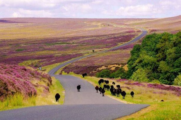 Hutton le-Hole is a great place to stay to explore the moors