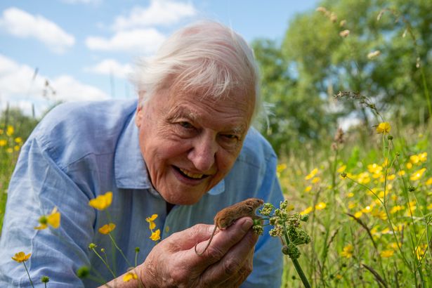 Sir David Attenborough