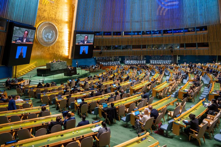 The UN General Assembly