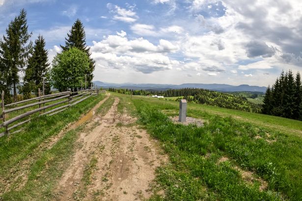 A view of the path