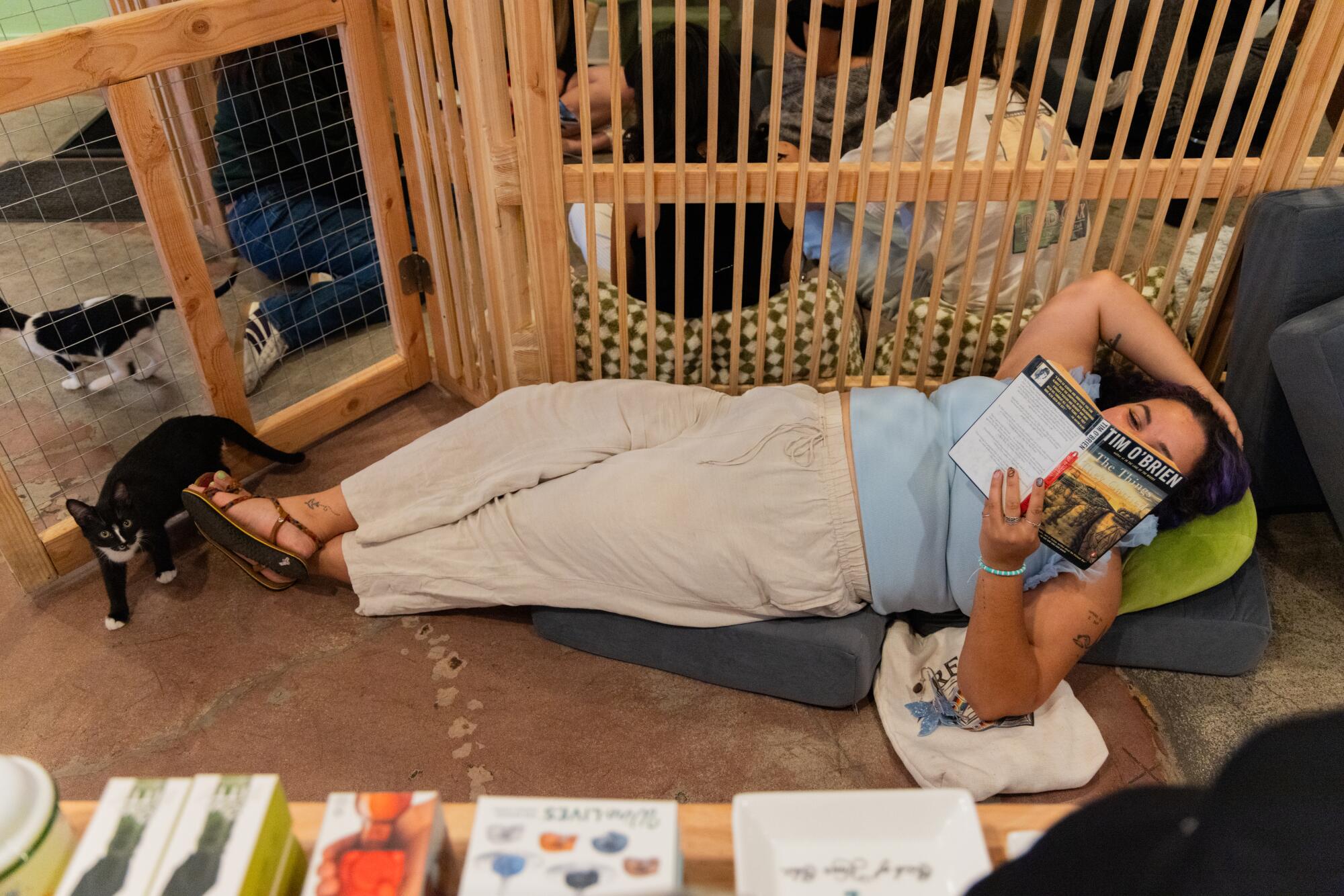 A person reads a book as foster kitten Poolboy creeps around her.