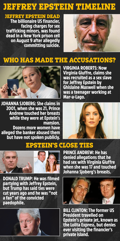 Illustration of Jeffrey Epstein timeline, including accusations and close ties.