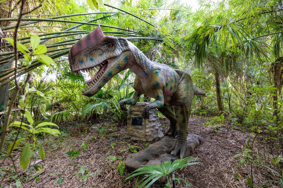 A horned dinosaur in a garden. 