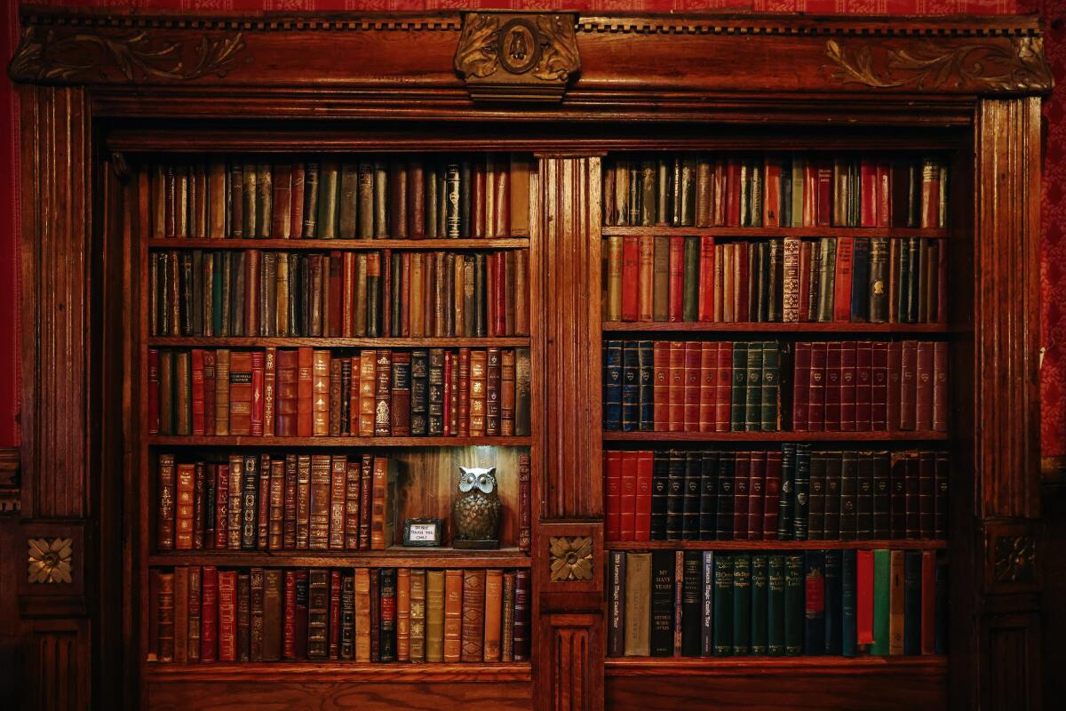 An owl where guest say the password to enter the Magic Castle.