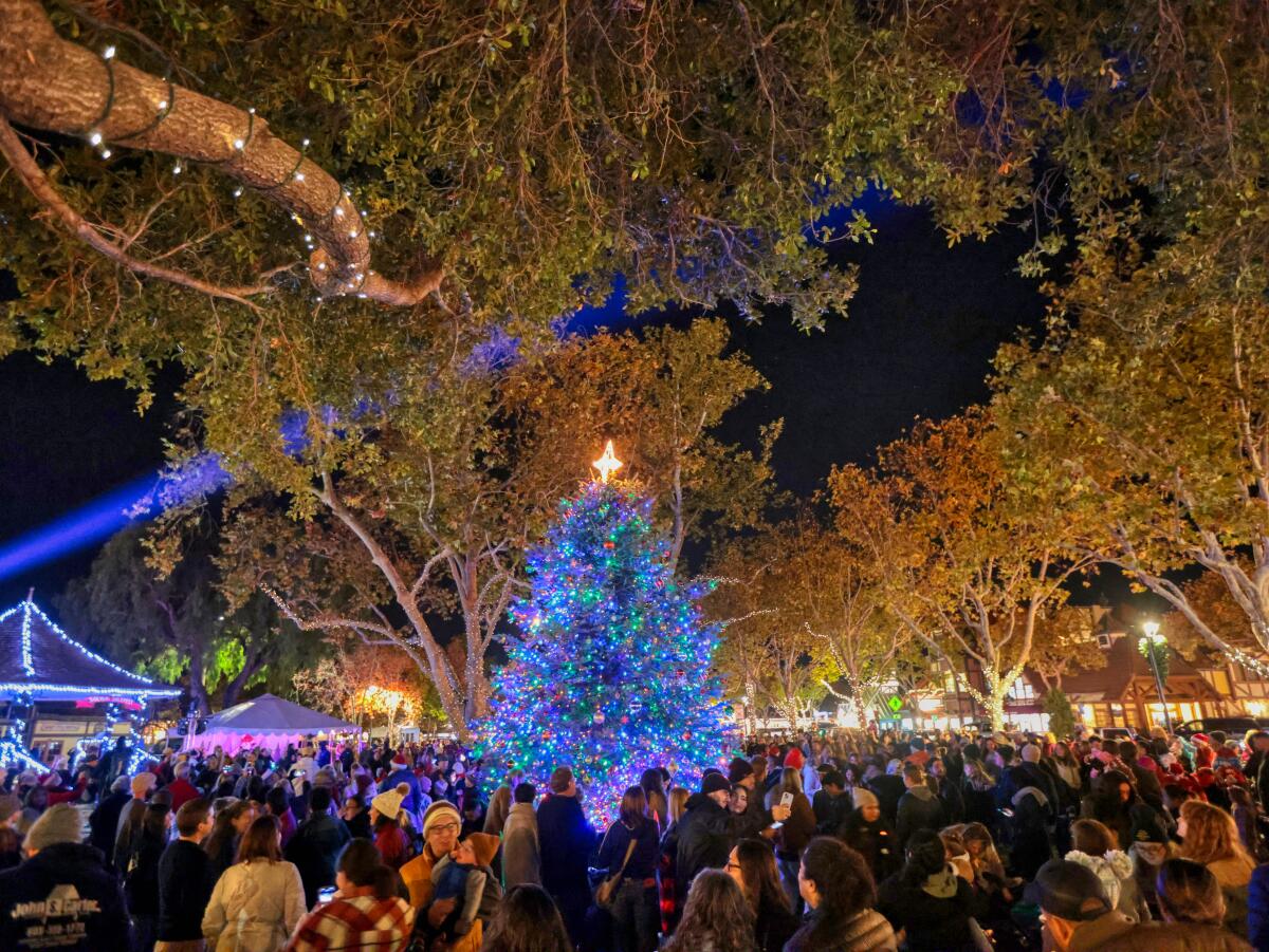 Solvang's holiday celebrations include a tree lighting, like this one in 2023.