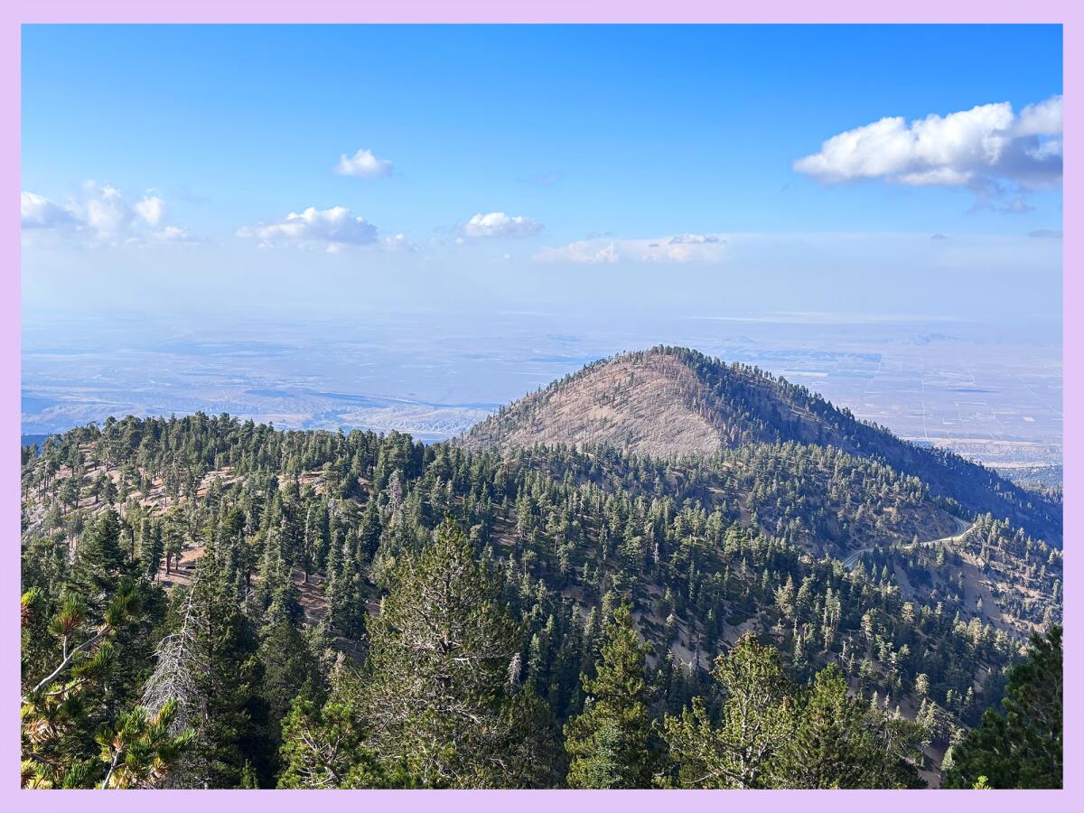 Mount Lewis and the Antelope Valley from the trail near Throop Peak.