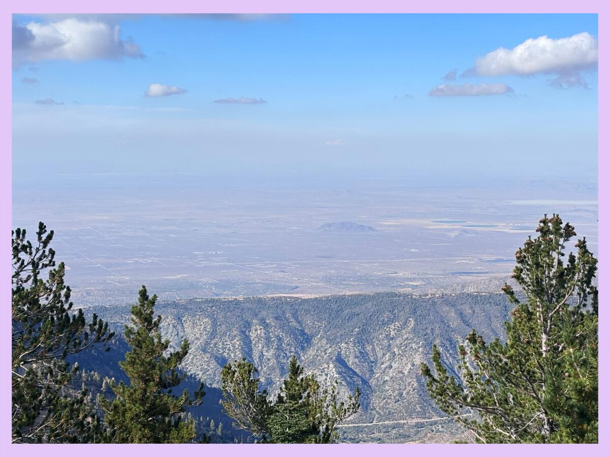 A view of the Antelope Valley, including Three Sisters and Black Butte, from the Dawson Saddle trail.