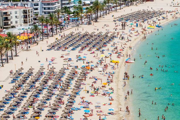 MALLORCA, SPAIN - JULY 13:  Tourist sunbathe at Magaluf beach on July 13, 2014 in Mallorca, Spain. Magaluf is one of the Britain's favorite holiday destinations popular with sun, beach and clubbers alike.  (Photo by David Ramos/Getty Images)