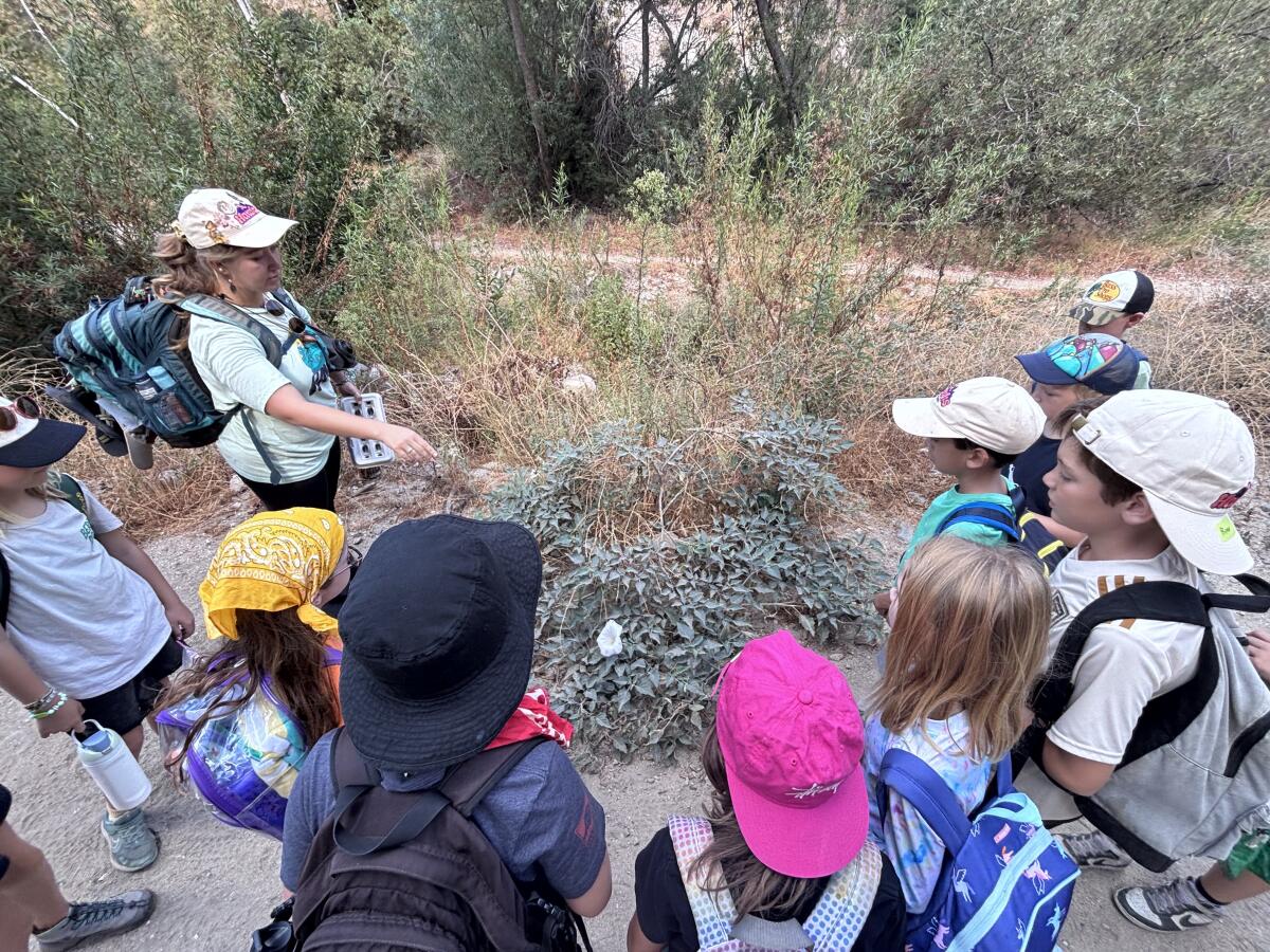 An adult with a large hiking backpack points to a green plant with a white flower; she's surrounded by a half circle of kids.