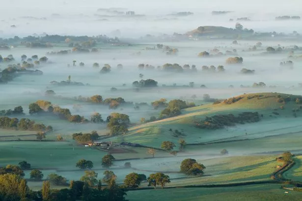 Somerset Levels at sunrise