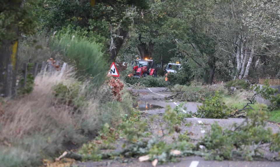 Workmen with a tractor and a truck clearing fallen trees from the A832 at Urray.