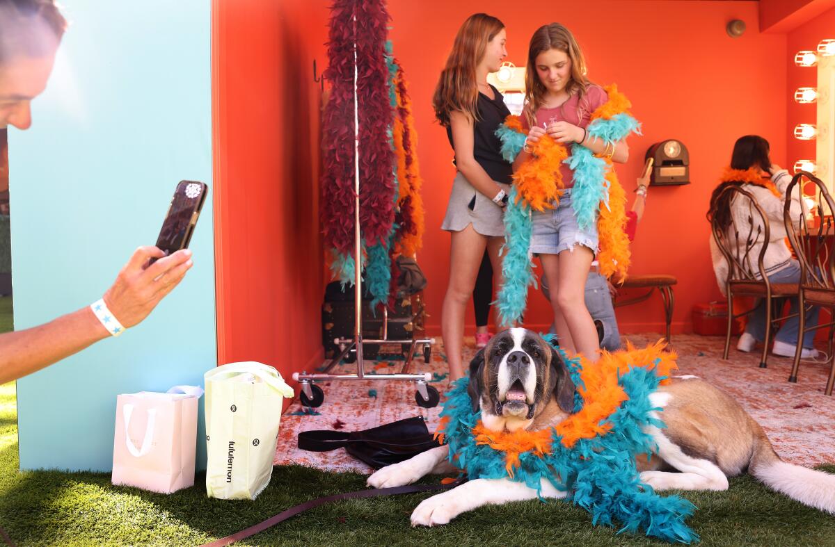 A woman takes a photo of her daughters and dog, wearing feather boas.