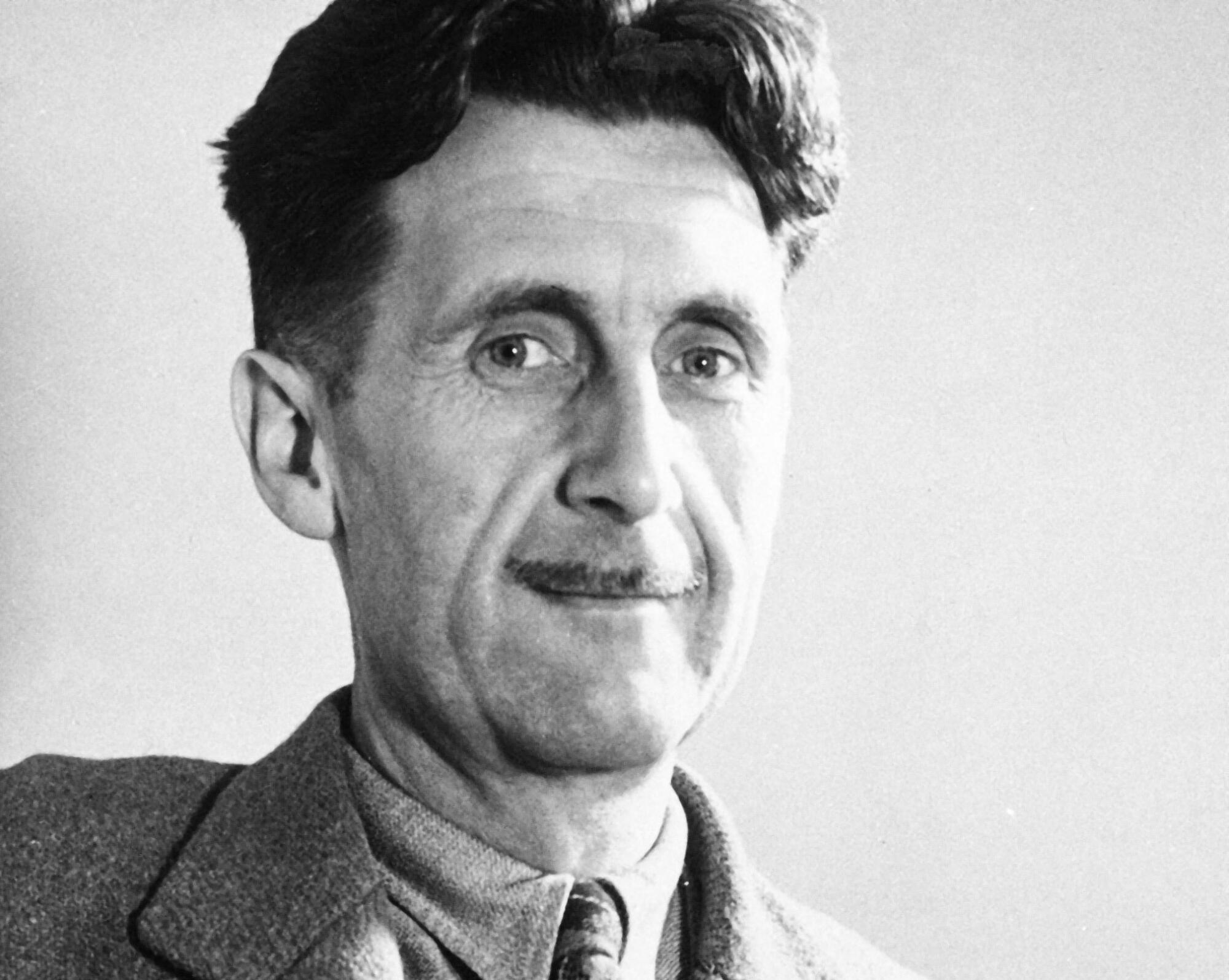 A man with a mustache is photographed.
