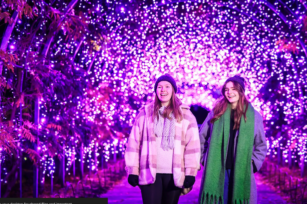 Glow at RHS Bridgewater 