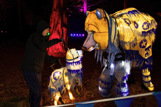 Yuletide at Tatton Park