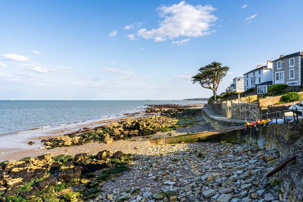 Houses on the Solent coastline