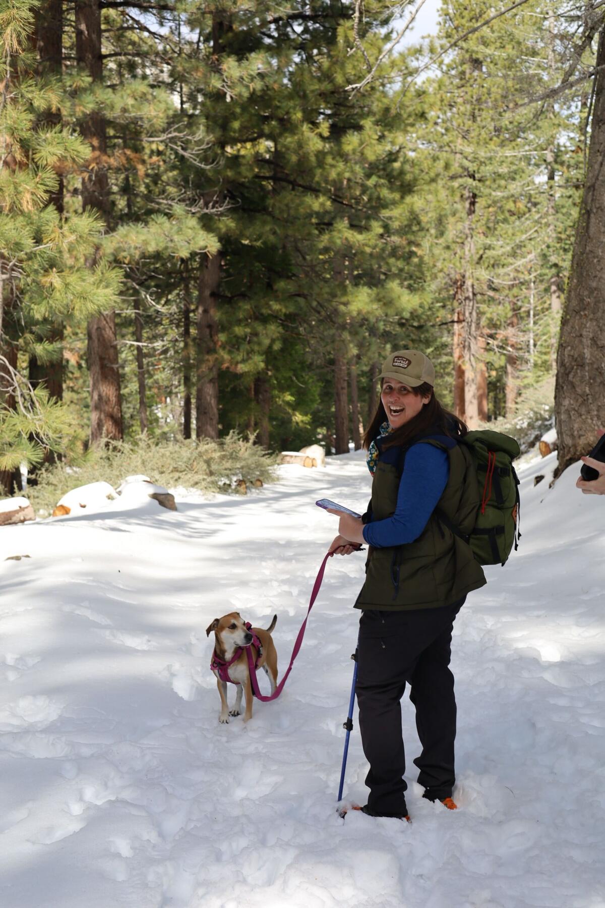 A smiling human and a medium-sized brown and white dog stand together in ankle deep snow among pine trees.