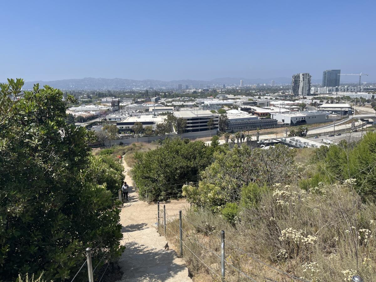 The views from the Baldwin Hills Scenic Overlook include Culver City and the surrounding L.A. area.