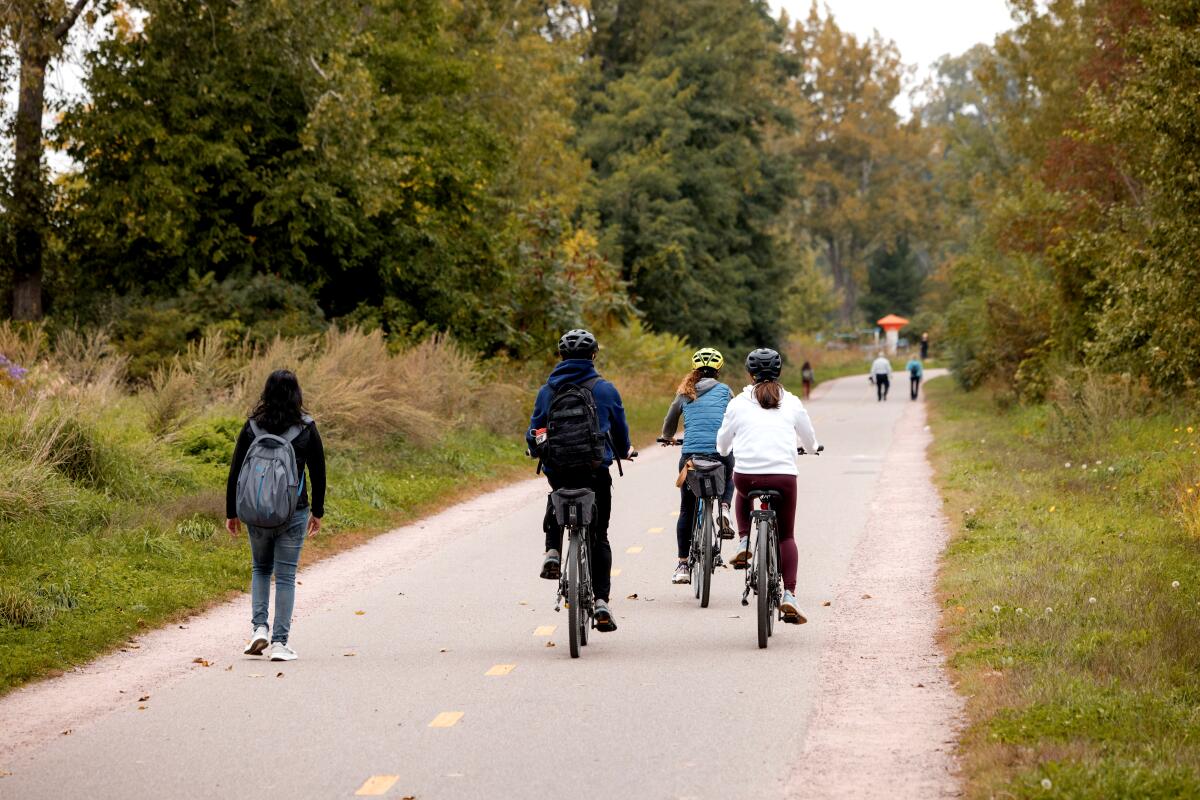 People walk or ride bikes along a paved path flanked by grass and trees