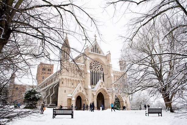 The cathedral