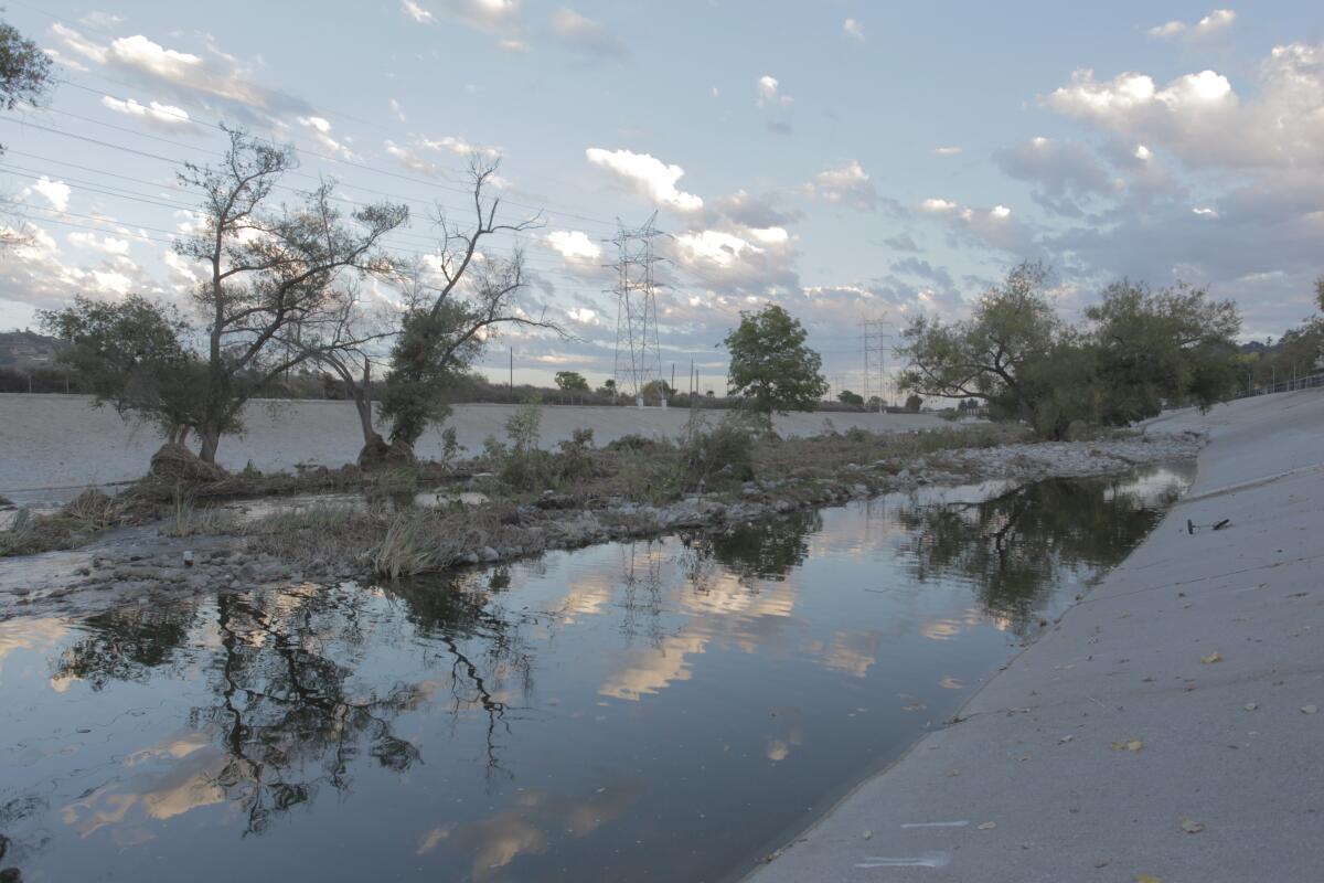 A beautiful evening at the Glendale Narrows of the L.A. River.