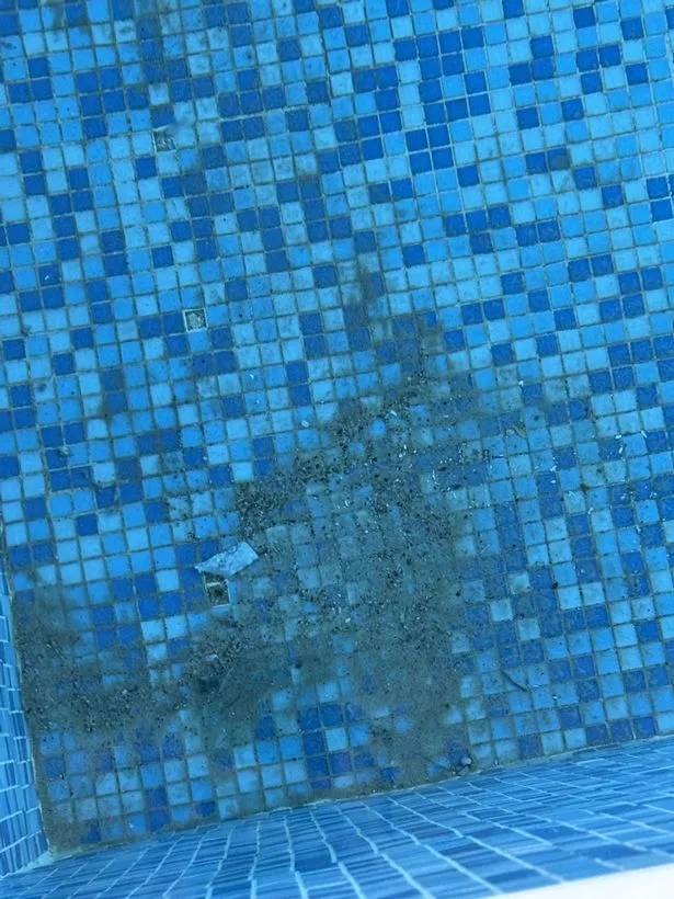 They said there was 'mould all around the side of the pool'