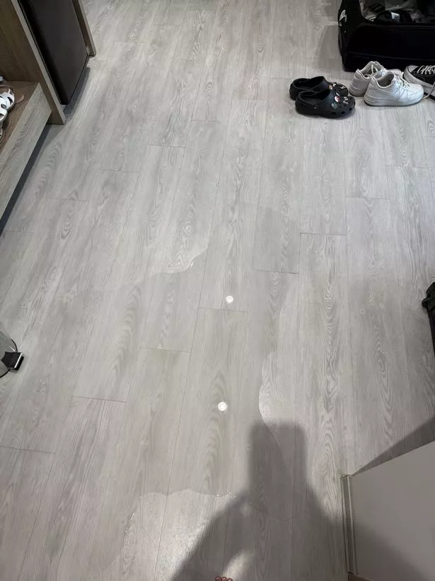 'As soon as you had a shower, the water would leak out into the room', they claimed