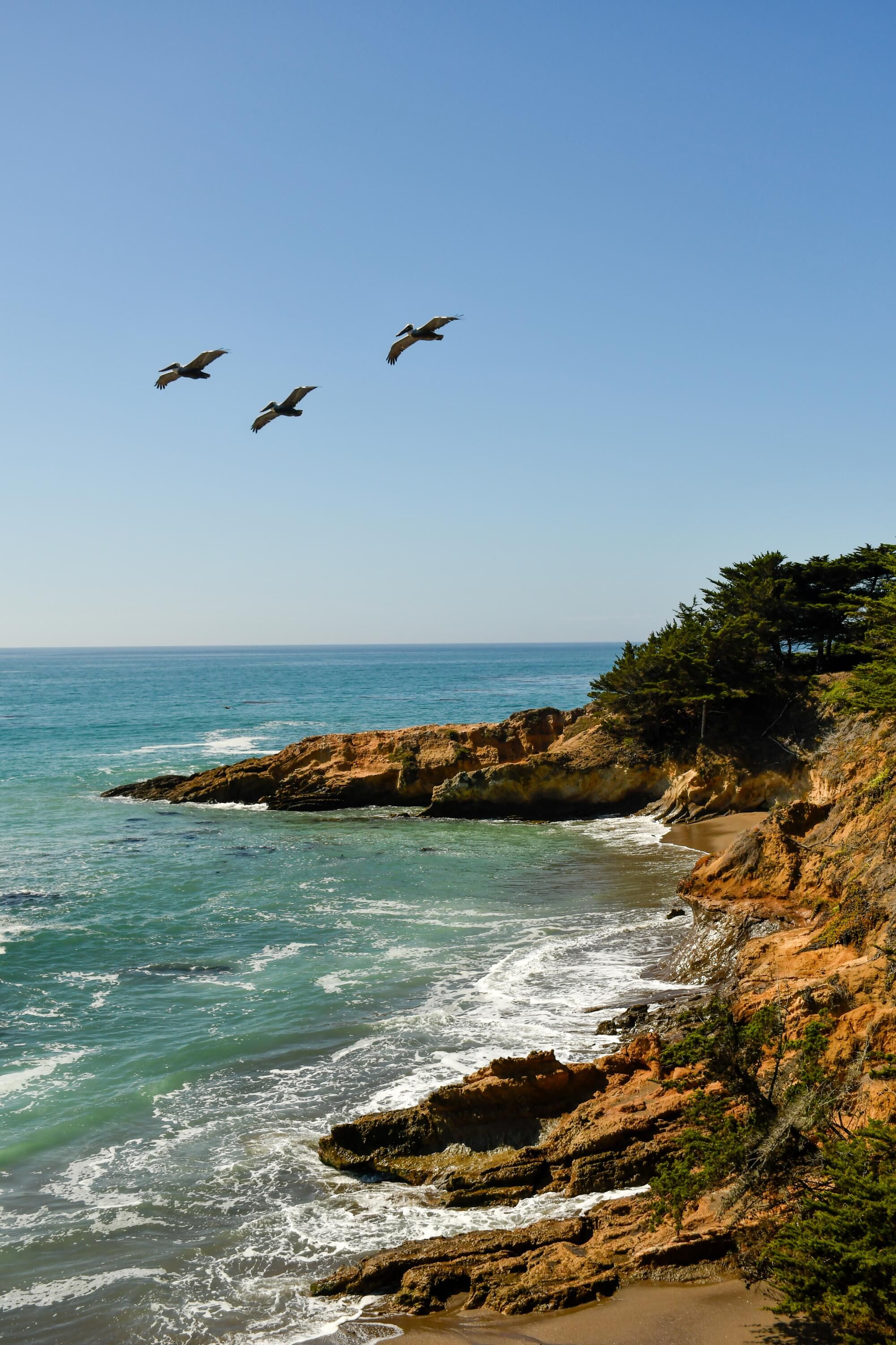 San Simeon Point Trail.