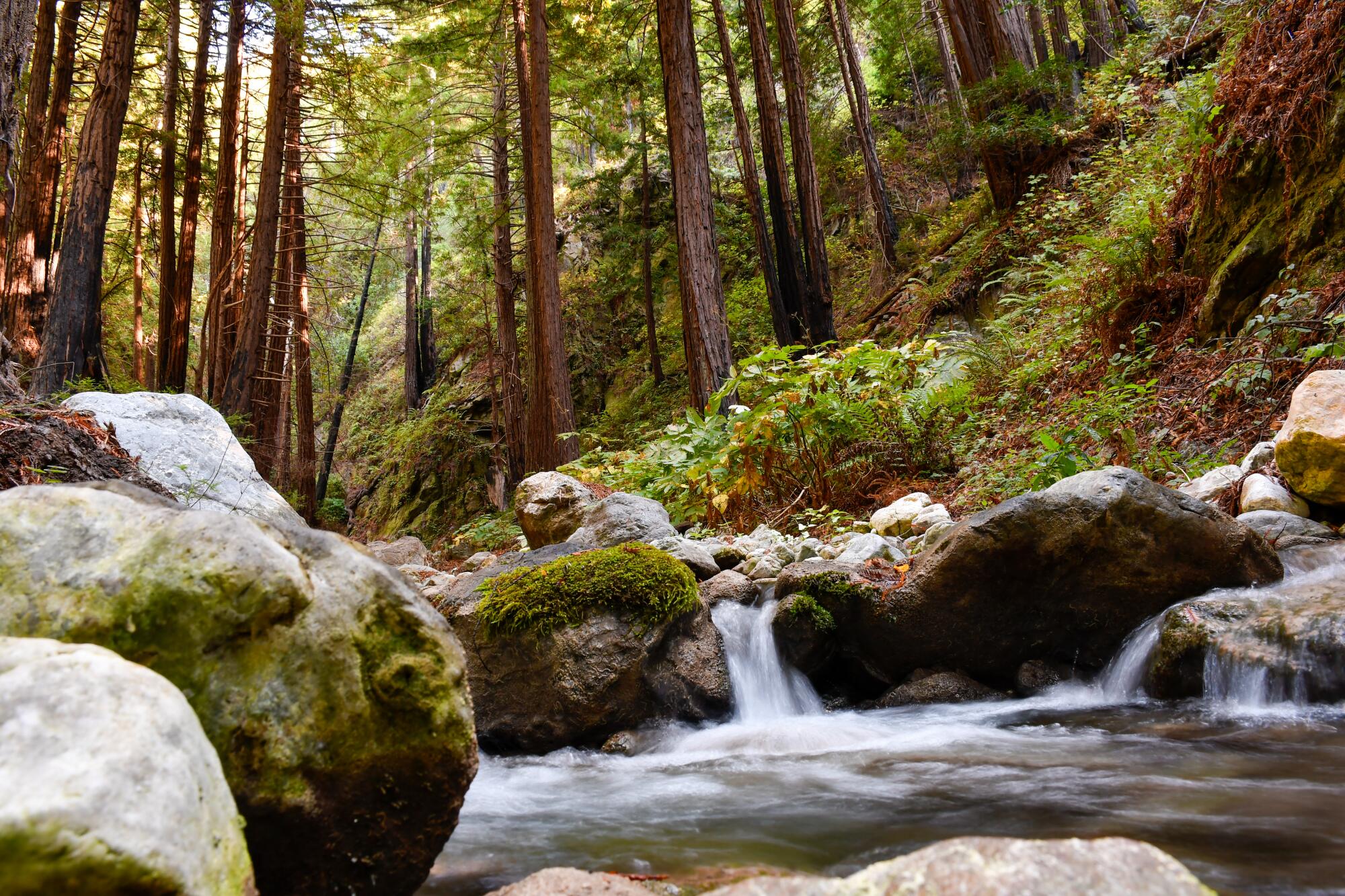 Limekiln State Park.