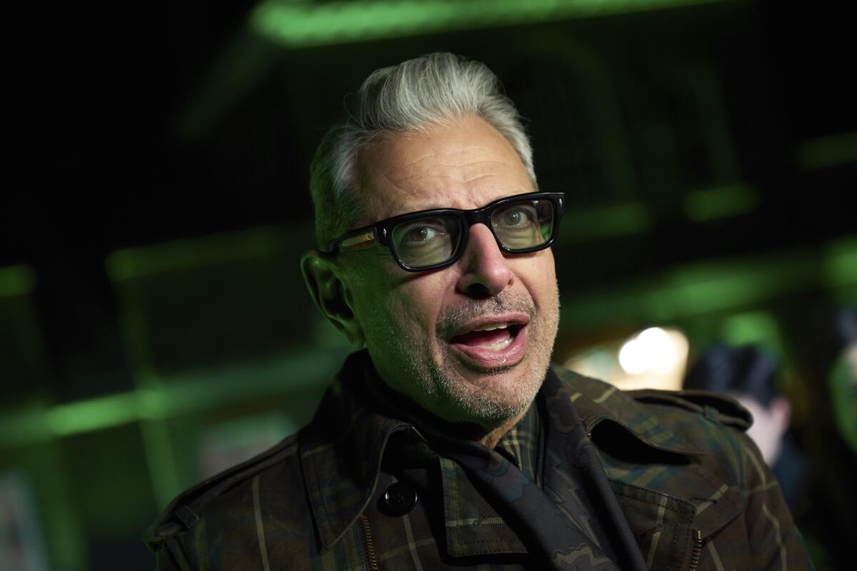 Actor Jeff Goldblum.