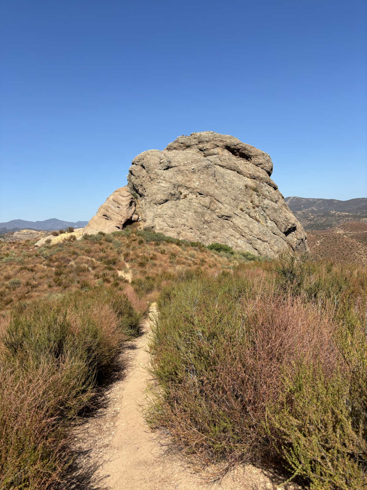 A narrow dirt path surrounded by lush green and red plants leading to a huge bounder that looks like a giant's head