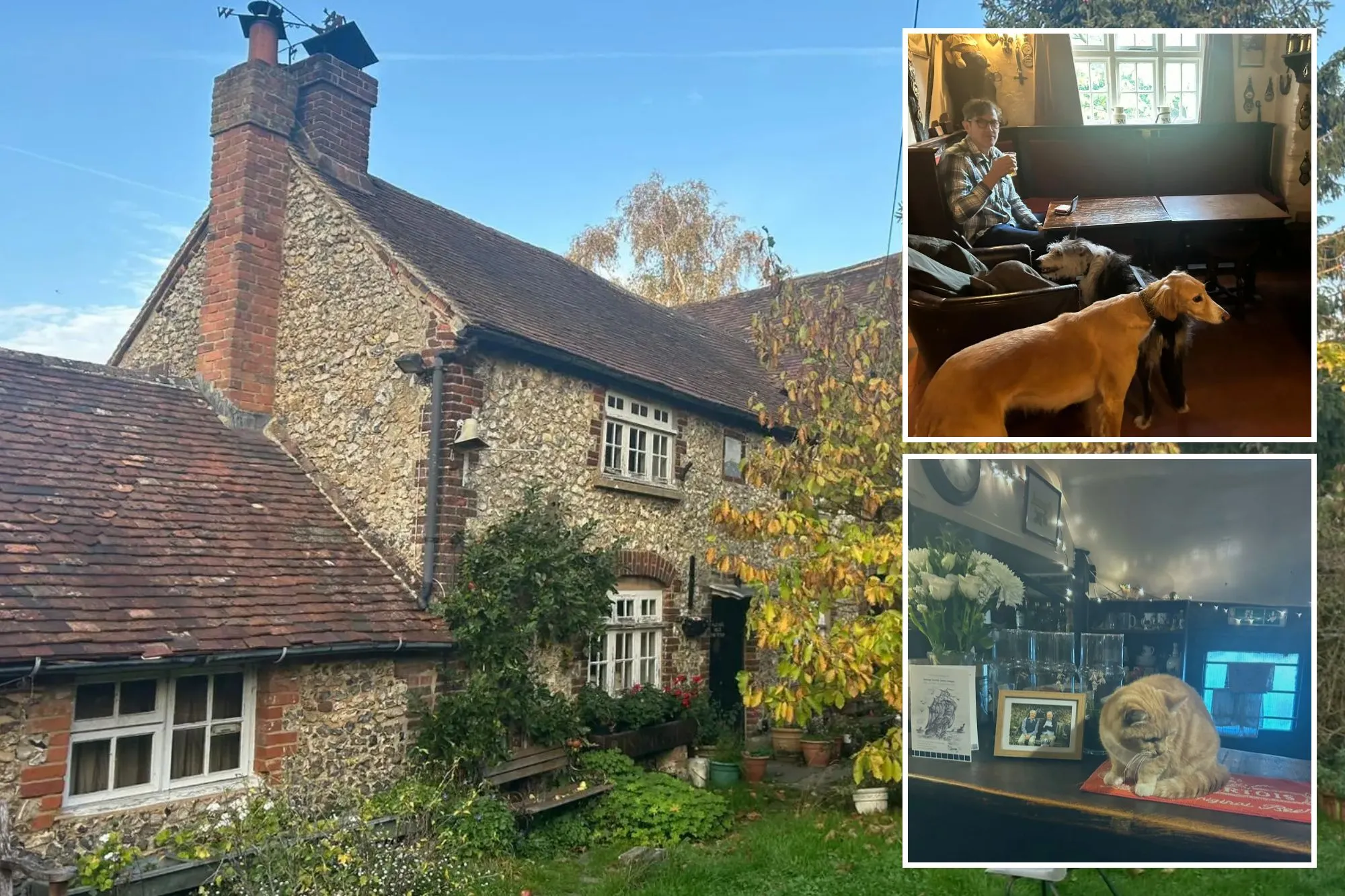 An image collage containing 3 images, Image 1 shows Bell Inn pub in Kemsing, Image 2 shows An orange cat sitting on a red mat on a wooden counter inside a pub, Image 3 shows A man in glasses sips a drink in a pub next to two dogs